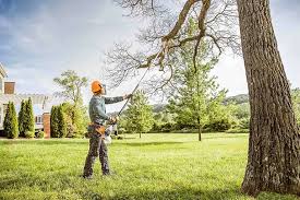 Best Tree Maintenance Programs  in Pennville, PA