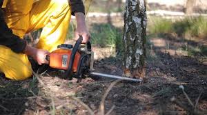 Best Utility Line Clearance  in Pennville, PA