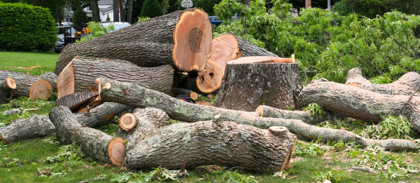 Best Aeration Services  in Pennville, PA